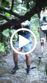 BIB:  <button type="button" onclick="openModal(27809078)" class="btn btn-primary btn-sm float-right" data-toggle="modal" data-target=".modal-high-quality">
                <i class="fa fa-download"></i> Download
                </button>